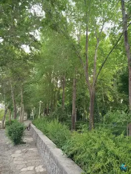 عکس بوستان ترمه، کمال الدین اسماعیل، اصفهان 7