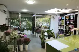 عکس گل فروشی لوپن، محله آهنگران، اصفهان 4