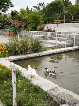 عکس آبشار پارک وکیل باد، محله کوهستان پارک، مشهد 6