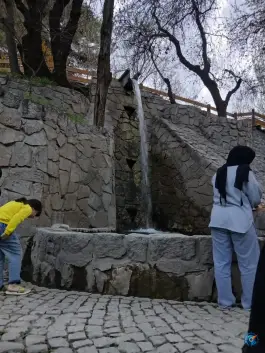 عکس آبشار پارک وکیل باد، محله کوهستان پارک، مشهد 8