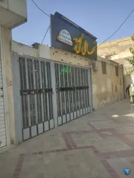 عکس نهال گل - محله رکن الدوله غربی - اصفهان 1
