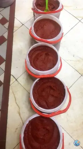عکس سبزیجات آماده طبخ گلستان سبز، ولیعصر «حسین آباد»، کرج 5