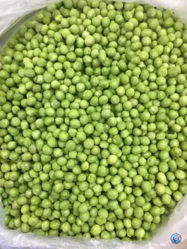 عکس سبزیجات آماده طبخ گلستان سبز، ولیعصر «حسین آباد»، کرج 6