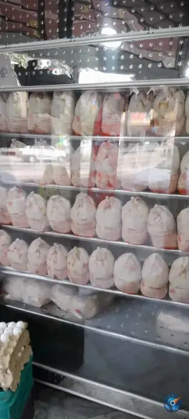 عکس مرغ ماهی گوشت ولیعصر، احد آباد، کرج 4
