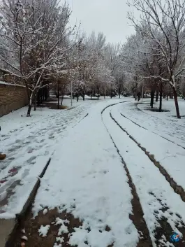 عکس پارک مشتاق دوم اصفهان 4