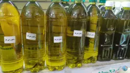 عکس زیتون سرای مصباح، مشیر شرقی، شیراز 3