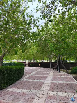 عکس بوستان رحمت، بنک داران، شیراز 2
