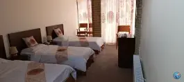 هتل نصر کارمانیا، کرمان