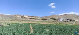 عکس دانشگاه آزاد واحد سلسله، شهید رجایی، الشتر 2