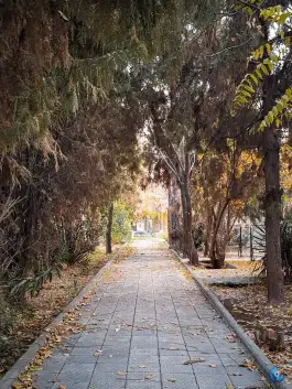 عکس آرامستان تاریخی مسیحیان دولاب، محله شکیبا، تهران 10