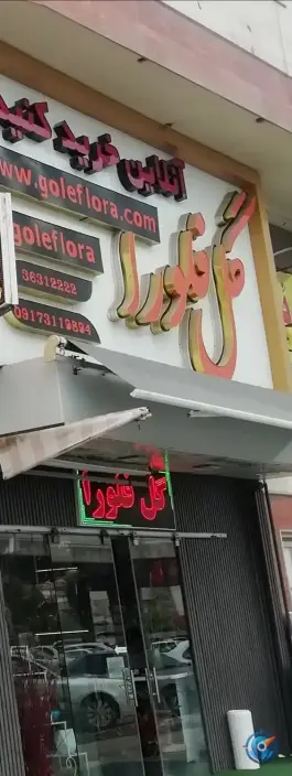 عکس گل فلورا، محله ایمان جنوبی، شیراز 1