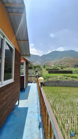 عکس قزلستان رفیعی، جاده فیروزکوه، پل سفید 3