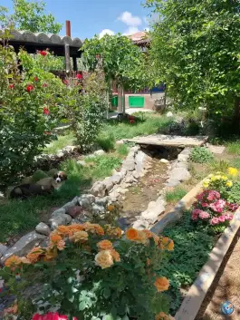 عکس های بوم گردی شبهای فیروزه، شهرستان شیروان، خراسان شمالی