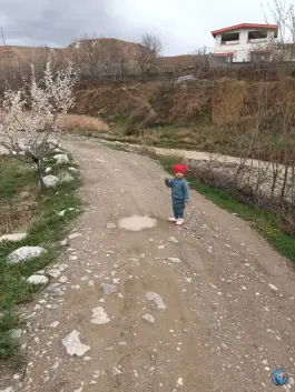 عکس بوم گردی شبهای فیروزه، شهرستان شیروان، خراسان شمالی 10