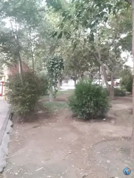 عکس بوستان آل خجند، محله فرسان، اصفهان 7