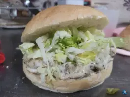 عکس فست فود کاکتوس، محله معلم، منوجان 3
