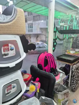 عکس پت شاپ جهان بلوار طالقانی شمالی کرج 3