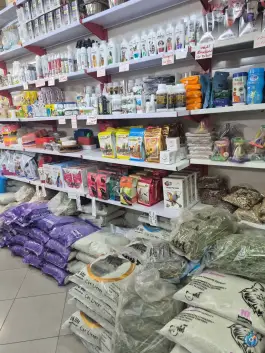 عکس پت شاپ جهان بلوار طالقانی شمالی کرج 6