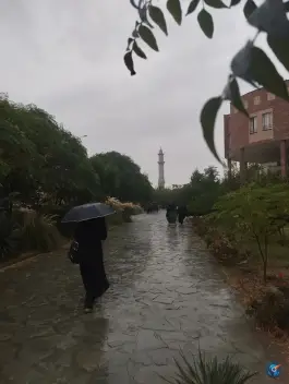 عکس دانشگاه شاهد تهران 2