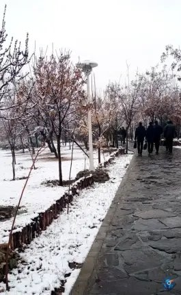عکس دانشگاه شاهد تهران 5