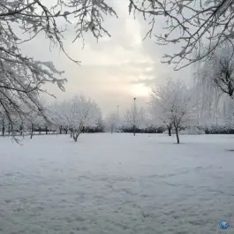 عکس دانشگاه شاهد تهران 6