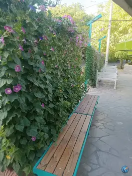 عکس کافه گردو، محله فسارود، اقلید 5