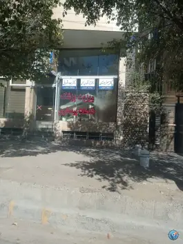 دکتر جعفر بوستان، دلاوران، مشهد