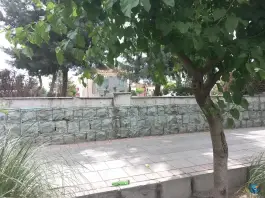 پارکینگ شماره 4، آرژانتین، تهران