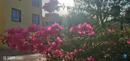 عکس هتل ناجی، بلوار امام رضا، جیرفت 1