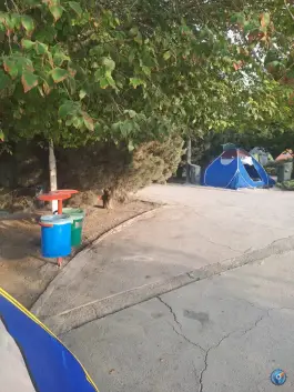 عکس بوستان جنگلی فدک، بزرگراه امام علی، قم 5