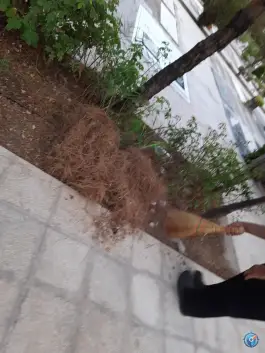 عکس آرامستان بهشت معصومه، بلوار گلها، قم 5