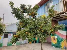 عکس مدرسه حافظ پاکدشت 3