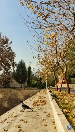 عکس مجموعه فرهنگی ورزشی انقلاب، بزرگراه نیایش، تهران 8