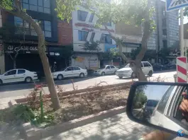 عکس داروخانه دکترخانی زاده، صیاد شیرازی 40، مشهد 2