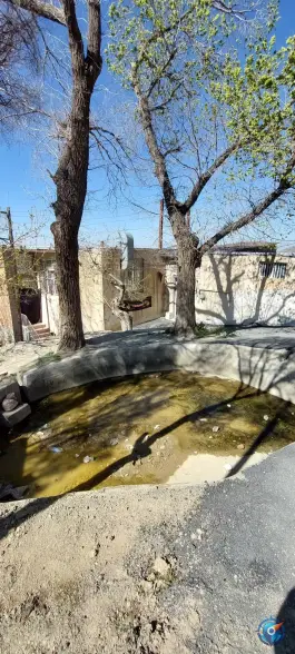 عکس مسجد ویدرخت کلاک بالا کرج 4