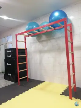عکس باشگاه ورزشی روشا، محله فروزش، تهران 3