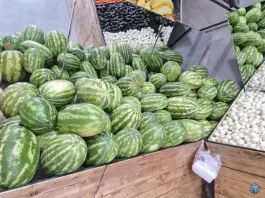 عکس سرزمین میوه پاسداران شیراز 3
