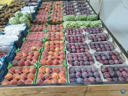 عکس سرزمین میوه پاسداران شیراز 5