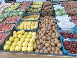 عکس سرزمین میوه پاسداران شیراز 6