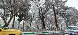عکس بوستان سعیدی، محله ی میدان نو، قم 2