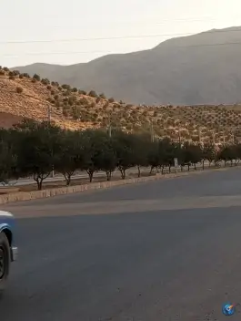 عکس پارک بهارستان، محله شیخ روزبهان، شیراز 3