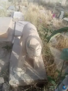 عکس آرامستان تاریخی دارالسلام - محله دباغ خانه شیراز 9