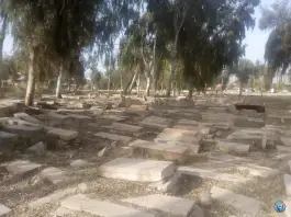 عکس آرامستان تاریخی دارالسلام - محله دباغ خانه شیراز 10
