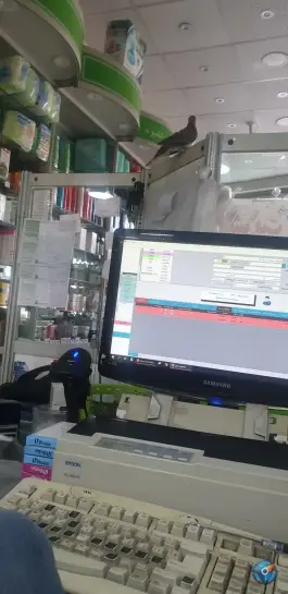 عکس داروخانه شبانه روزی دکتر رمضانی، سمزقند، مشهد 3