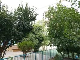 عکس دبستان کسب و کار پسرانه آپادانا، هفت تیر، مشهد 4