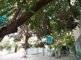 عکس دبستان کسب و کار پسرانه آپادانا، هفت تیر، مشهد 8