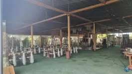باغ تالار روشا، پالیز، شیراز
