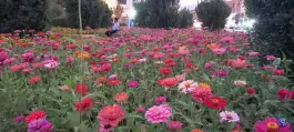 عکس بوستان خلیلی، محله پاییز، شیراز 7