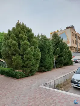 عکس بوستان خلیلی، محله پاییز، شیراز 8