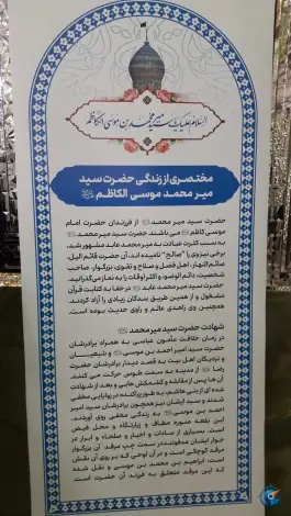 عکس امامزاده سید ابراهیم، محله شاهچراغ - آستانه، شیراز 4